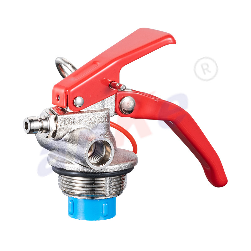 1-2KG Fire Extinguisher Valve 1003