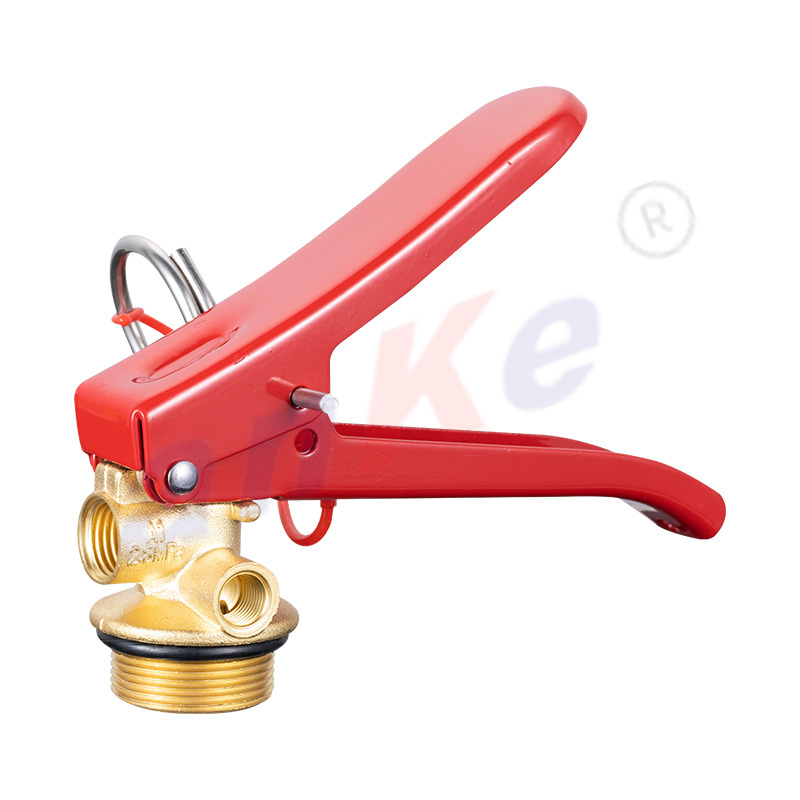 4-12KG Fire Extinguisher Metal Coating Valve 1087C